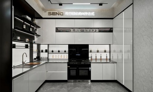 森歌南京分公司携四店盛大开业 探索理想厨房生活的可能