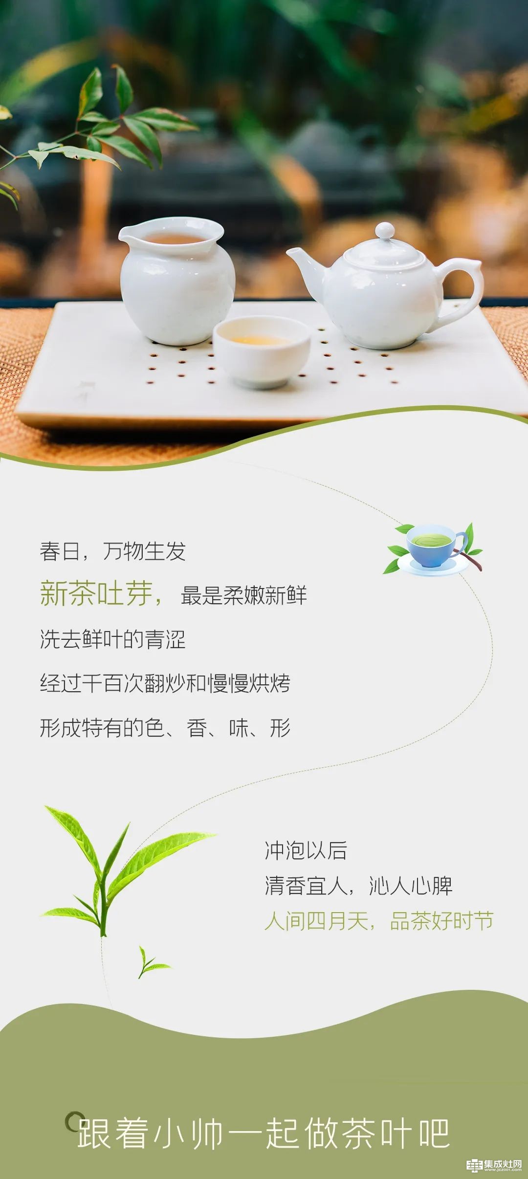 帅丰集成灶：四食丰语 万八千的春茶 自己在家就能做